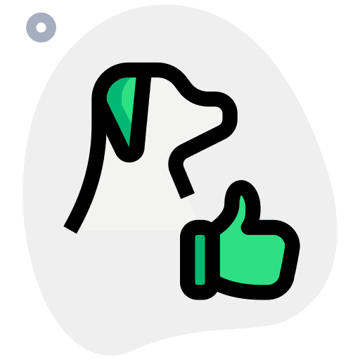 Lorem Ipsum
